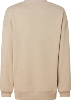 Calvin Klein Women College,EMBROIDERED LOGO SWEATSHIRT Vaalea Beige -Kekäle calvin klein women college embroidered logo sweatshirt vaalea beige 4