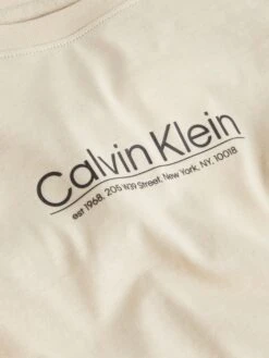 CALVIN KLEIN WOMEN, Naisten T-Paita, COORDINATES LOGO GRAPHIC T-SHIRT Vaalea Beige -Kekäle calvin klein women naisten t paita coordinates logo graphic t shirt vaalea beige 5