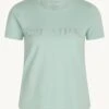 Claire Naisten T-paita ALANIS Mintunvihreä 2 Claire Naisten T-paita ALANIS Mintunvihreä -Kekäle claire naisten t paita alanis mintunvihrea 1